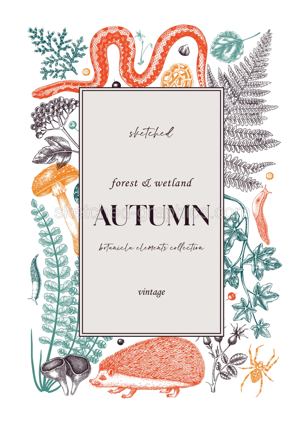 Forest Frame In Color Illustration